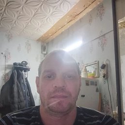 ����, ������, 39 ���