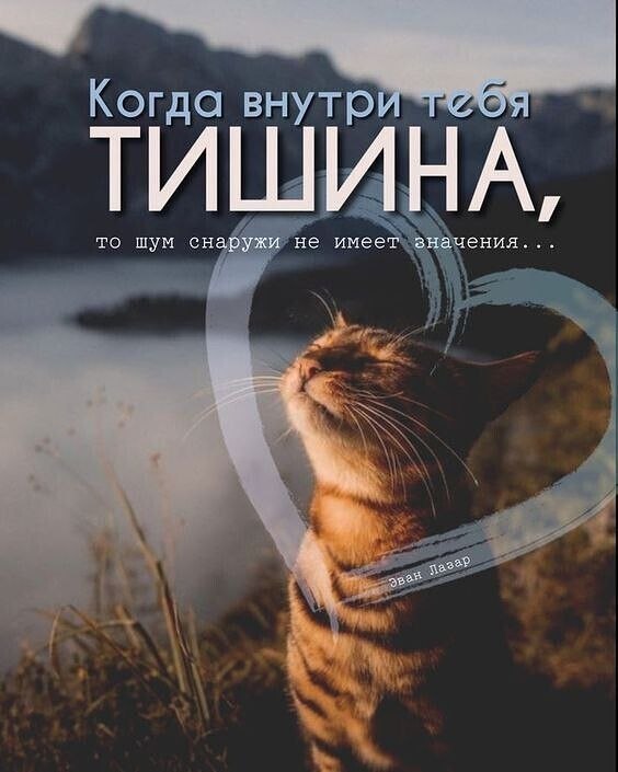 ₪╬═►  ||  ||  ◄═╬₪ - 18  2023  10:34