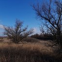 ���� �����, ������������ - ��������� 10 ����� 2026 � ������ ������ ��������