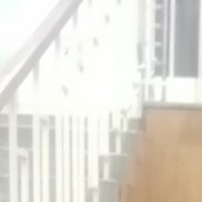 ������, 46 ���, ����