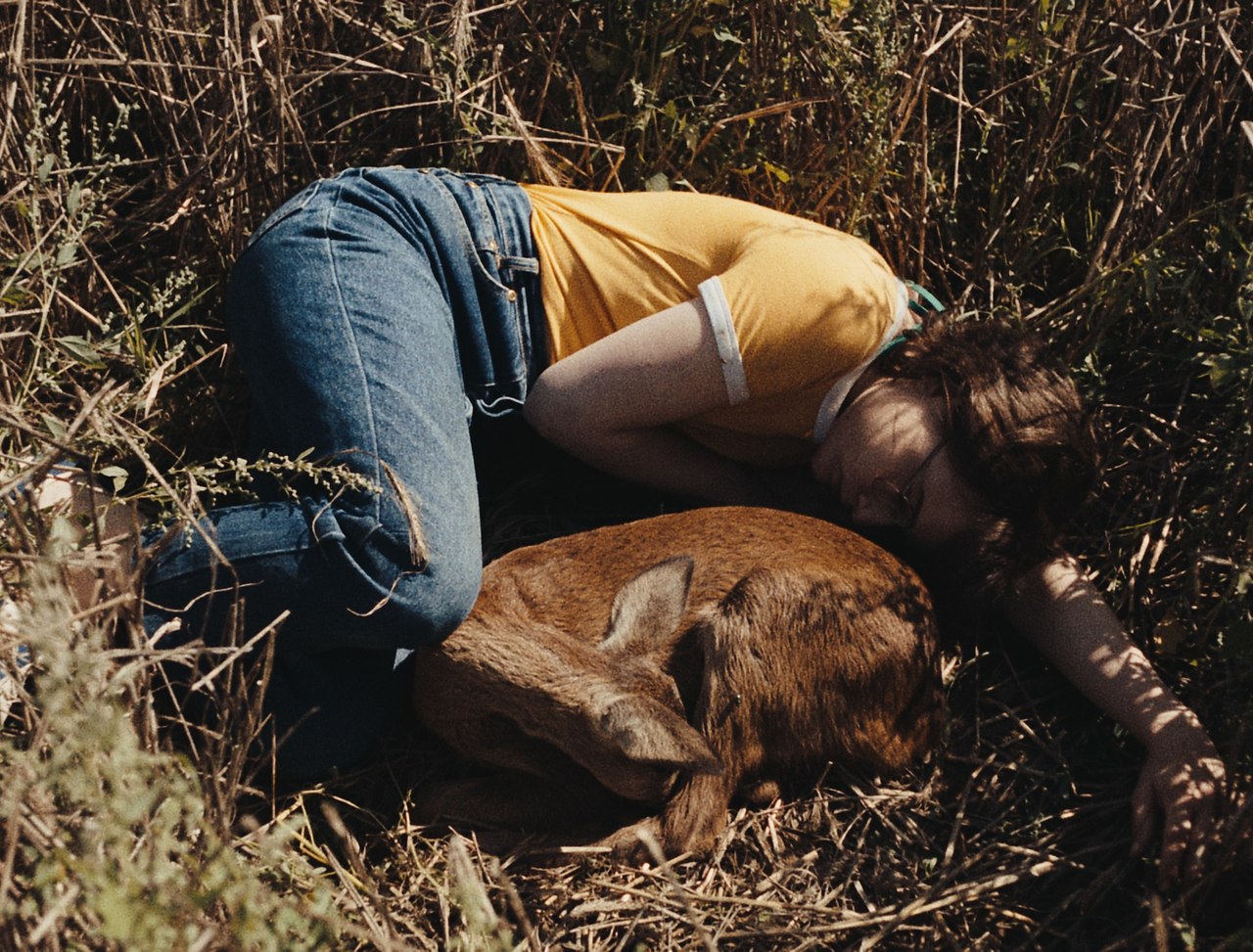      ,     -2025  ... - 9