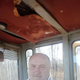 , 52, 