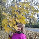 ���� ���������, ���������, 56 ��� - ��������� 5 ������� 2026