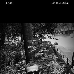 , 33, 