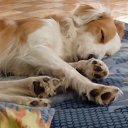  Lubomir_ss,  -  23  2024   ...)