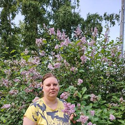 , 33 , 