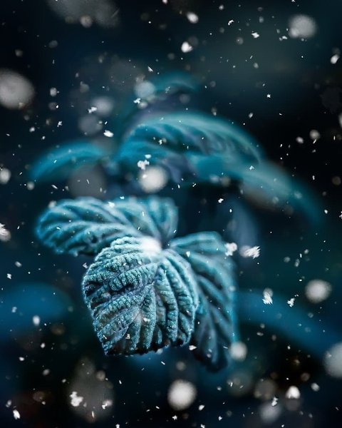 ��������� �� ����� � ������ ������ ���� �� ������������. � ������ ������� - 2