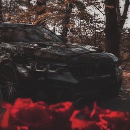 ���� �������, �������������, 37 ��� - ��������� 4 ������ 2024