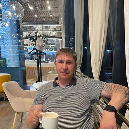 ������, 41 ���, ���������