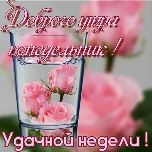 ����� �������� - 16 ���� 2025 � 20:30