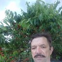 ���� ������, �������, 56 ��� - ��������� 2 ������ 2026 � ������ ���� ����������