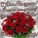 ���� �����, ���, 42 ���� - ��������� 23 ������� 2024 � ������ ���� ����������