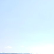 , 41 , 