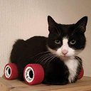 ���� ���������, ��������-������������, 43 ���� - ��������� 24 ������� 2023 � ������ ������ ��������