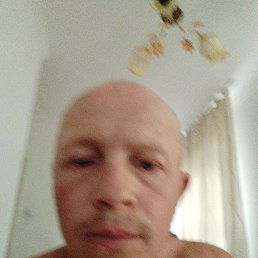 , 41, 