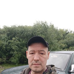 , 37, 