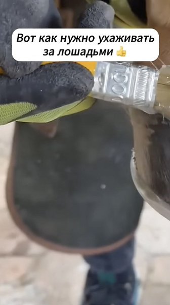 ��� ��� ���� ���� �����.�������� - 2