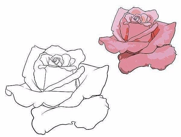 9 способов нарисовать розу, которые под силу каждому! - 5