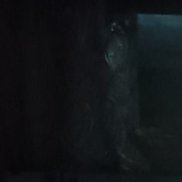 �������, 50 ���, ������