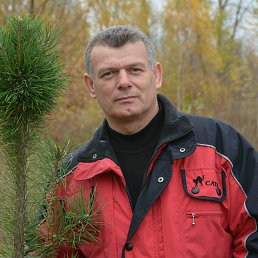 ��������, 50 ���, ��������