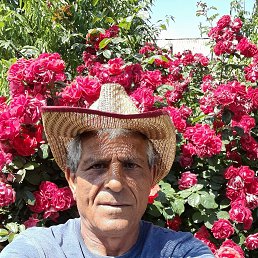 , 55, 