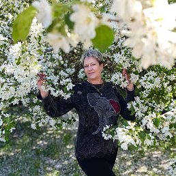 ��������, ���������, 54 ����