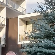 ���������, 43 ����, �����