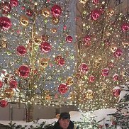 ����, 54 ����, ������