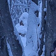 ����, 49 ���, ����