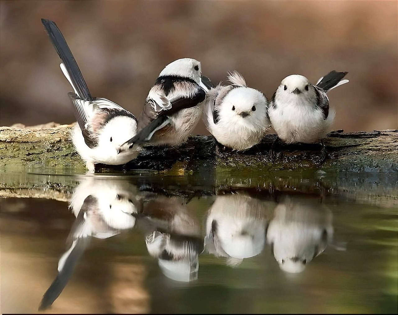 .      .   , ,   !  ... - 2