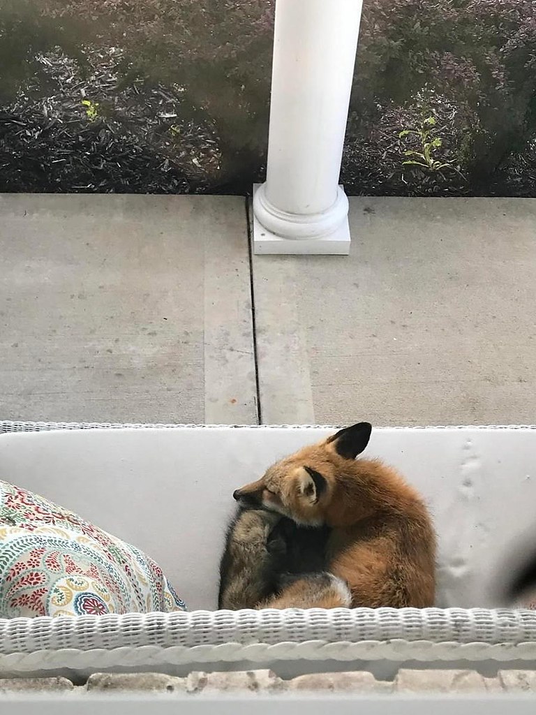      ? :    ,       ... - 4