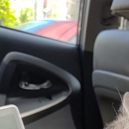 ������, �������, 25 ���