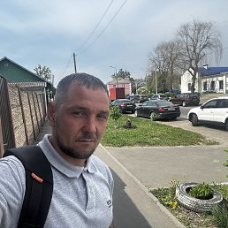 ���� ������, �����, 38 ��� - ��������� 15 ���� 2026