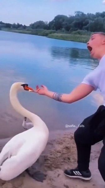 ���� �� � ������ - 2