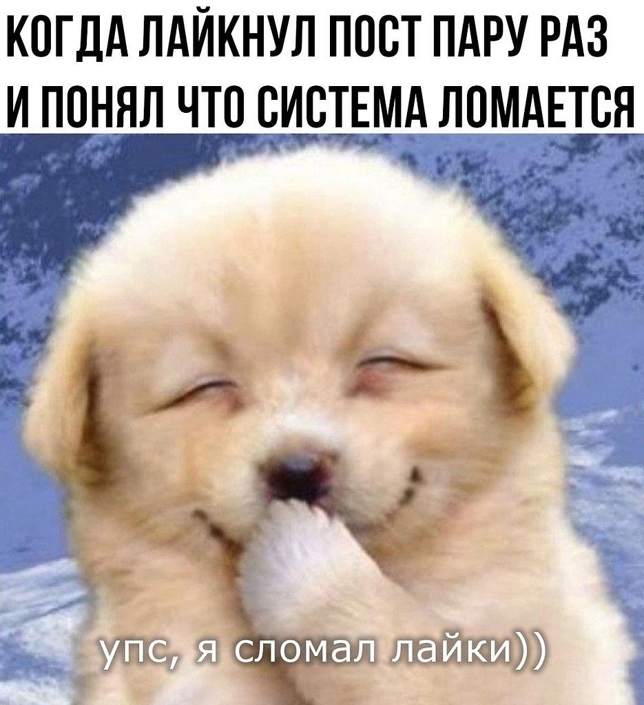 ? ,  ! - 1  2024  19:41