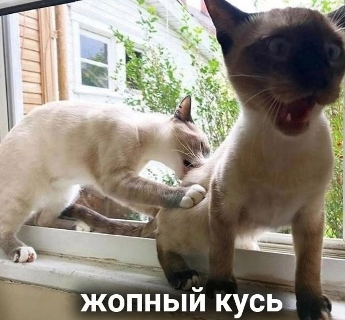 Все кусь прекрасны