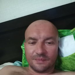 , 44, 