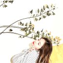 ���� Aysu, ����, 31 ��� - ��������� 10 ������� 2024 � ������ ���� ����������