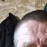 ����, 41 ���, ������