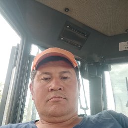 , 39, 