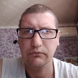 ������, ������, 41 ���