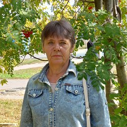 ���� ����, ����, 62 ���� - ��������� 19 ����� 2024