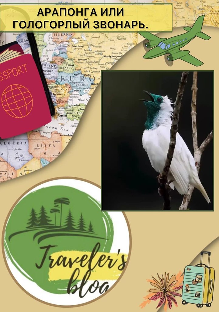 paoa,  ooop oap,  a ceeca oo, oaa  poec eca o ...