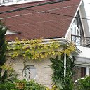 ���� Mila, ���� - ��������� 4 ������ 2025 � ������ ������ ��������