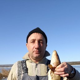 , 44 , -