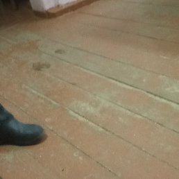 �����, ������, 21 ���