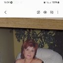 ���� �����, ���������, 73 ���� - ��������� 8 ��� 2026