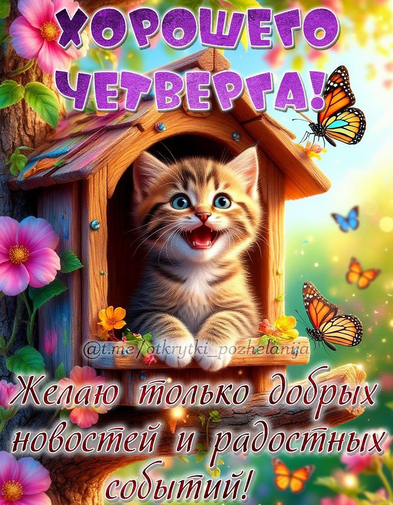   ,    . - 14  2025  13:12 - 4