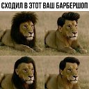 ���� �������, �����-���������, 49 ��� - ��������� 18 ��� 2026 � ������ ������ ��������