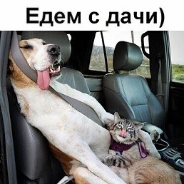 ���, ������, 47 ���